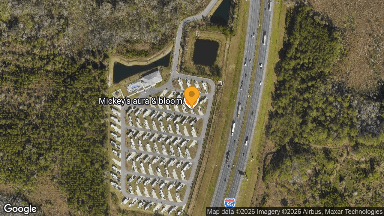 3. Pecan Park RV Resort — Jacksonville — verified parking photo